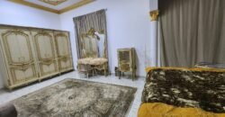 FULLY FURNISHED LUXURIOUS VILLA FOR RENT